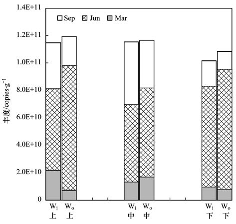 圖片關鍵詞 圖片關鍵詞