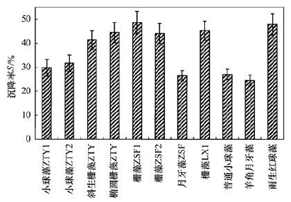 圖片關鍵詞 圖片關鍵詞