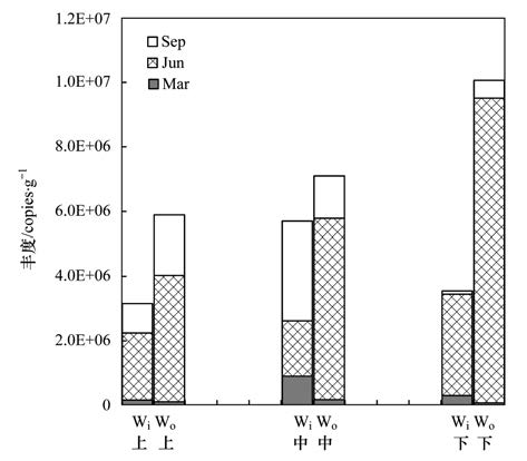 圖片關鍵詞 圖片關鍵詞