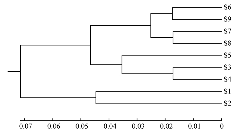 圖片關鍵詞 圖片關鍵詞
