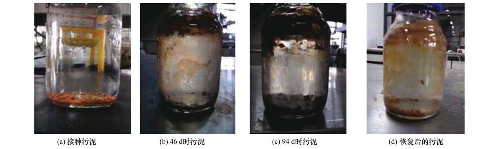 圖片關鍵詞 圖片關鍵詞