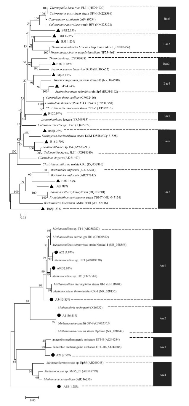 圖片關鍵詞 圖片關鍵詞