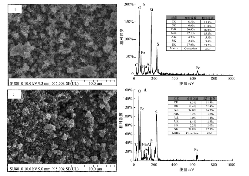 圖片關(guān)鍵詞