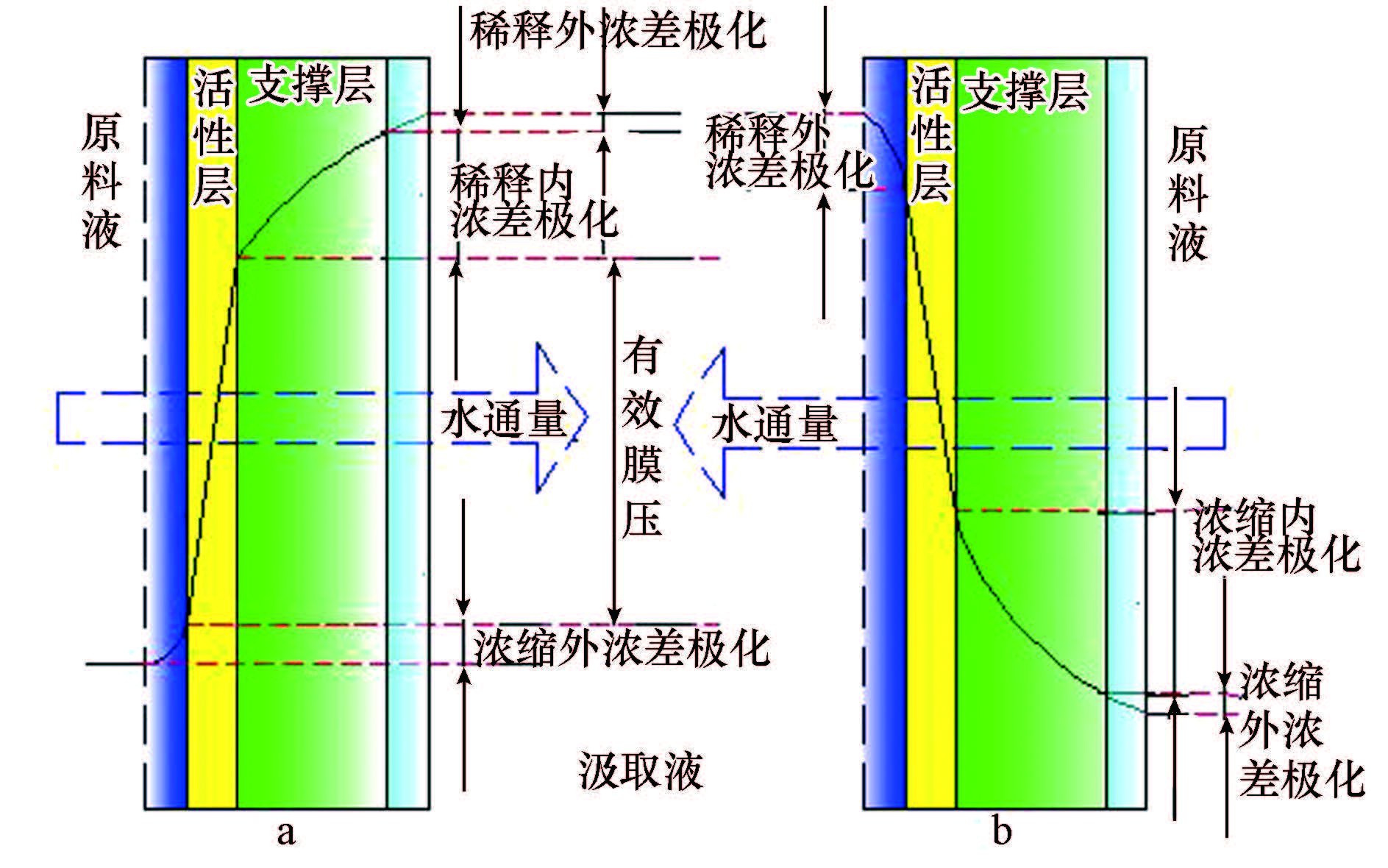圖片關鍵詞 圖片關鍵詞