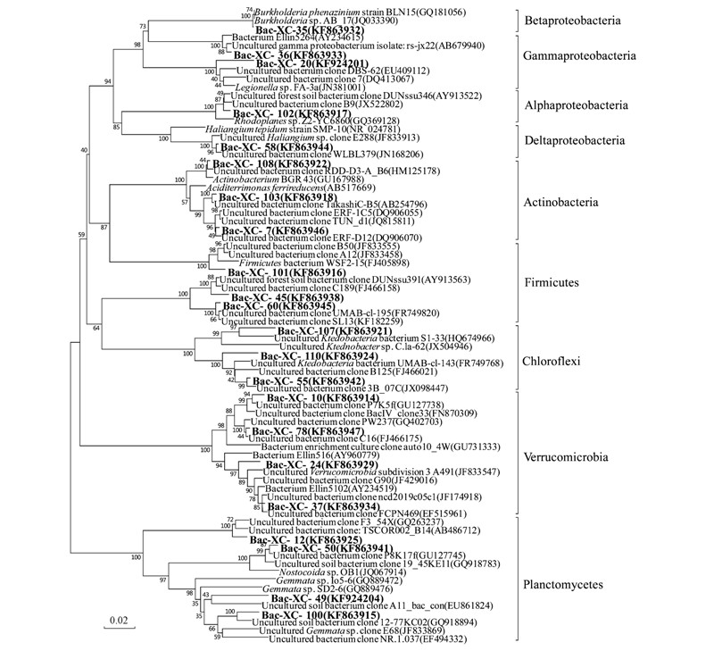 圖片關鍵詞 圖片關鍵詞