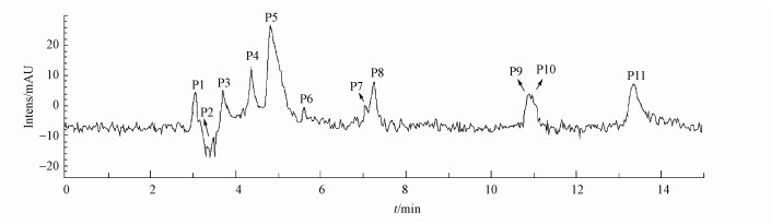 圖片關(guān)鍵詞