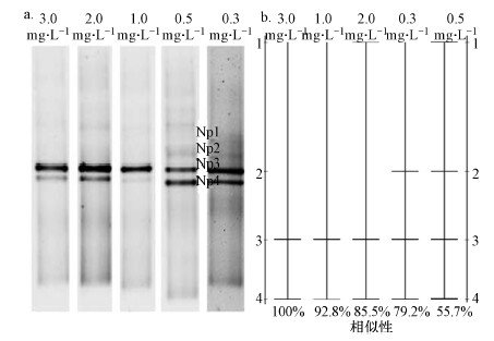 圖片關(guān)鍵詞