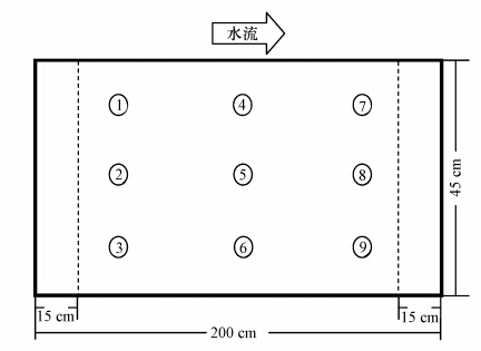 圖片關鍵詞 圖片關鍵詞