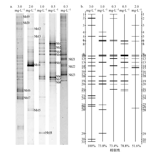 圖片關鍵詞 圖片關鍵詞