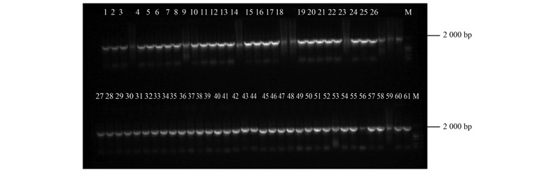 圖片關鍵詞 圖片關鍵詞