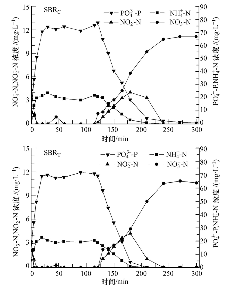 圖片關鍵詞 圖片關鍵詞