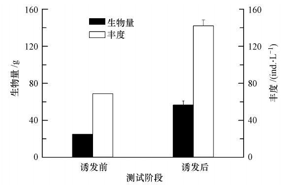 圖片關鍵詞 圖片關鍵詞