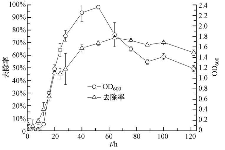 圖片關鍵詞 圖片關鍵詞