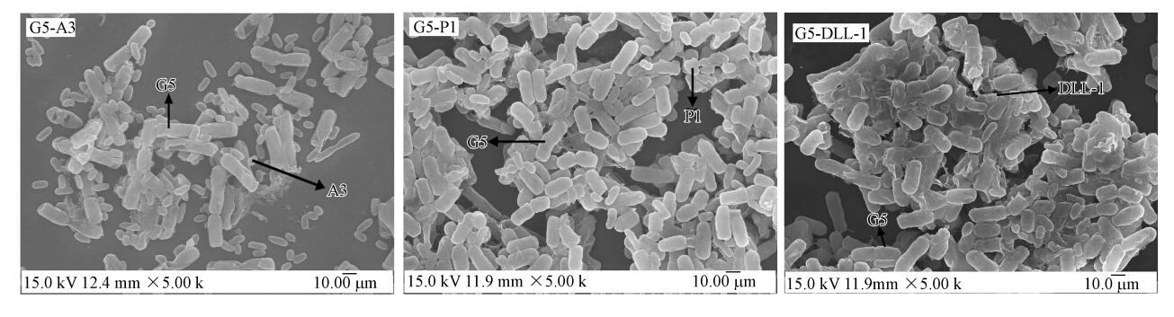 圖片關鍵詞 圖片關鍵詞