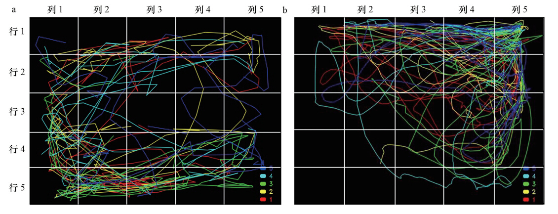 圖片關鍵詞 圖片關鍵詞