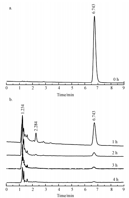 圖片關鍵詞 圖片關鍵詞