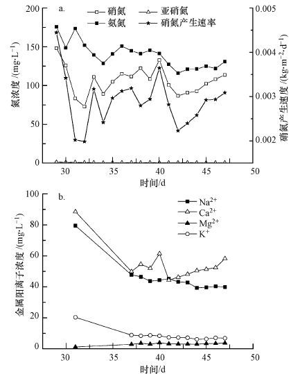 圖片關鍵詞 圖片關鍵詞