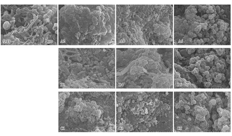 圖片關鍵詞 圖片關鍵詞