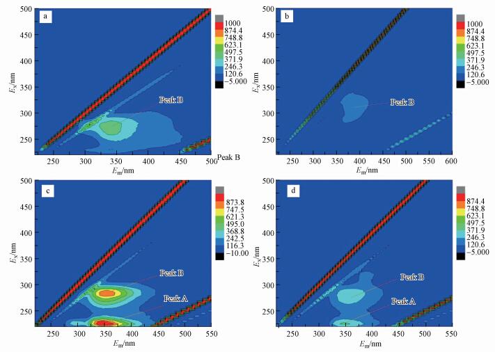 圖片關鍵詞 圖片關鍵詞