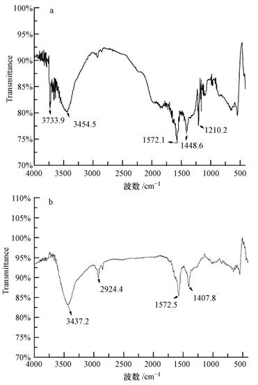 圖片關鍵詞 圖片關鍵詞