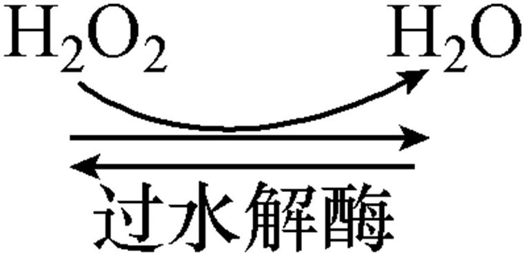 圖片關(guān)鍵詞
