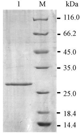 圖片關(guān)鍵詞 圖片關(guān)鍵詞