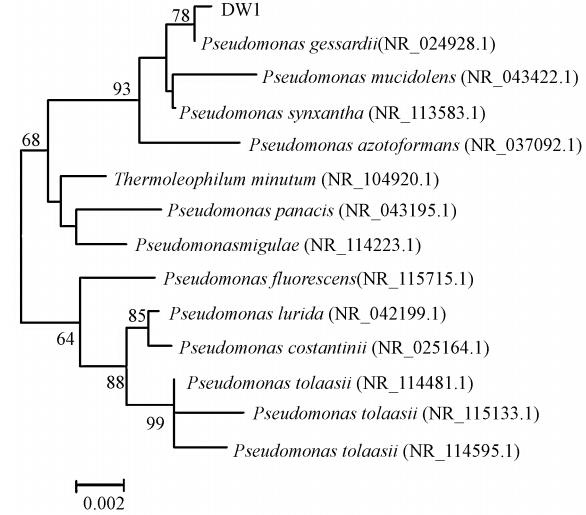 圖片關鍵詞 圖片關鍵詞