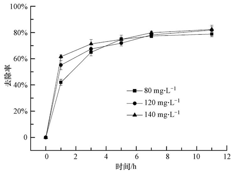 圖片關鍵詞 圖片關鍵詞