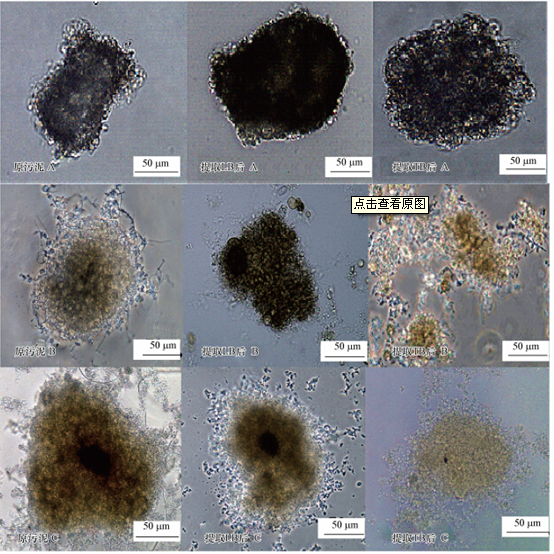 圖片關鍵詞 圖片關鍵詞