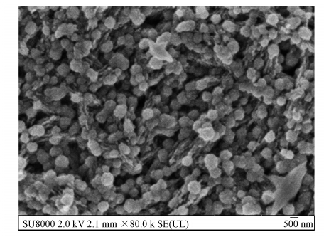 圖片關(guān)鍵詞 圖片關(guān)鍵詞