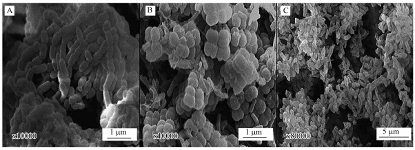 圖片關鍵詞 圖片關鍵詞