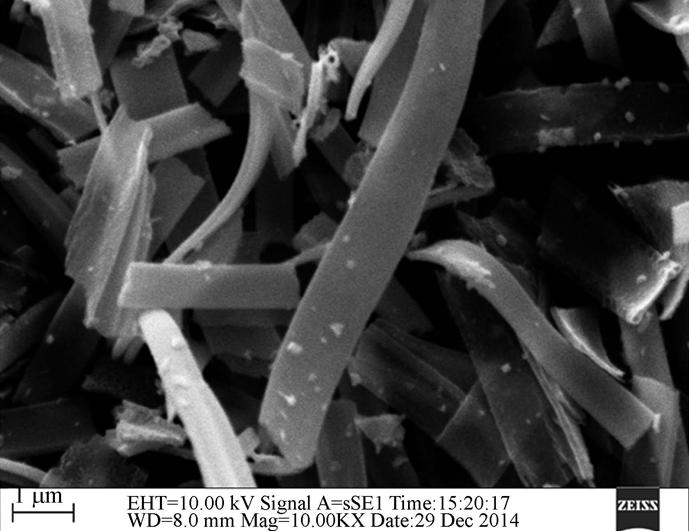 圖片關(guān)鍵詞