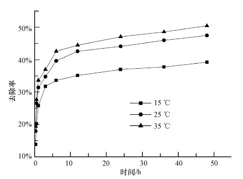 圖片關鍵詞 圖片關鍵詞