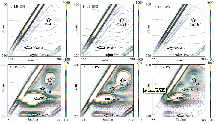 圖片關鍵詞 圖片關鍵詞