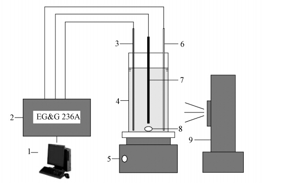圖片關(guān)鍵詞 圖片關(guān)鍵詞