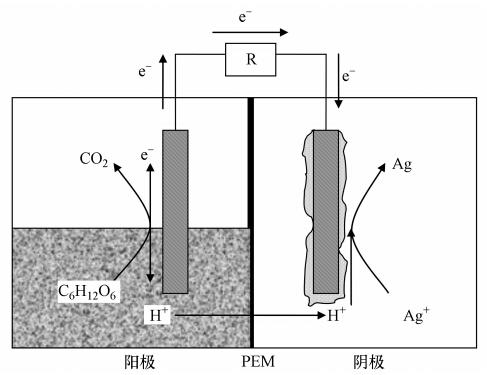 圖片關(guān)鍵詞