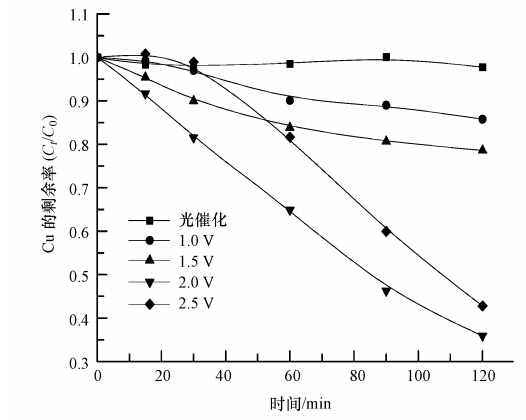 圖片關(guān)鍵詞 圖片關(guān)鍵詞