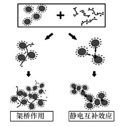圖片關鍵詞 圖片關鍵詞