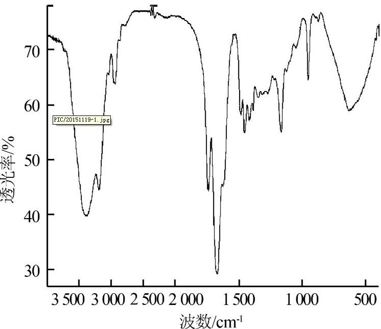 圖片關(guān)鍵詞 圖片關(guān)鍵詞