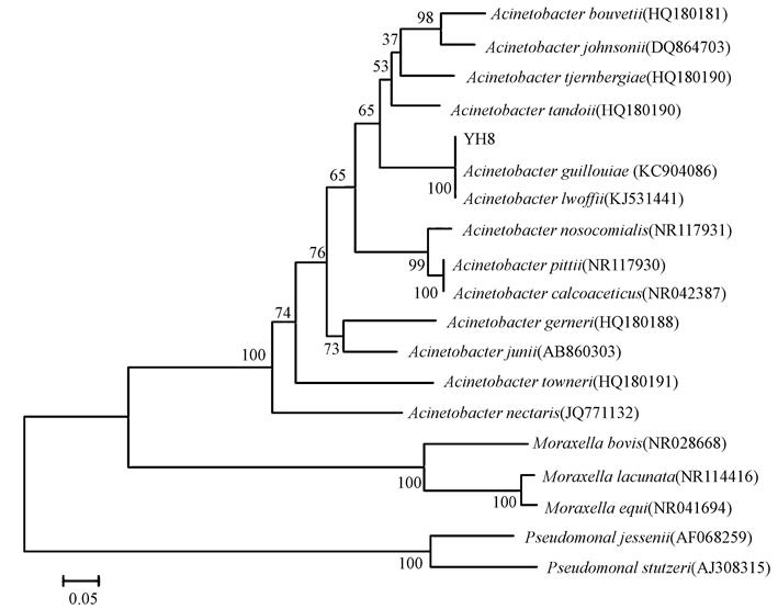 圖片關鍵詞 圖片關鍵詞