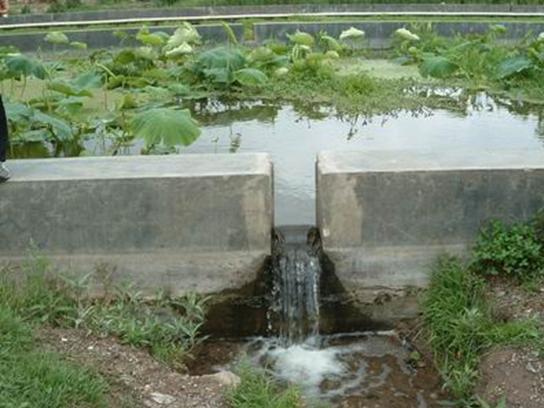 圖片關鍵詞 圖片關鍵詞